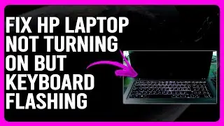 How To Fix HP Laptop Not Turning On But Keyboard Flashing (Quick Solutions To Resolve The Issue)