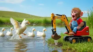 Working With Excavators - Building New Fish Ponds For The Fish - Monkey Farm Work | Bobby Farm