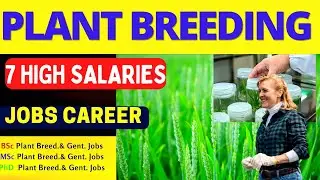 Plant Breeding and Genetics Job Salary I bsc plant breeding and genetics jobs I msc plant breeding
