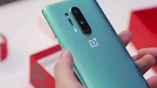 Oneplus 8 Unboxing ASMR