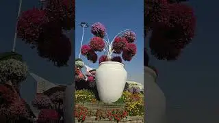 Dubai Miracal garden  P 3 #dubai #miracle #views #travel #food #flowers