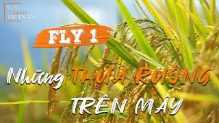 Best Amazing Vietnam #1 - Những thửa ruộng trong m&acirc;y | T&acirc;y Bắc  - VietNam |