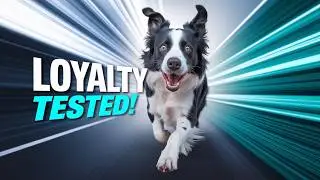 Top 10 Most Loyal Dog Breeds: Unwavering Canine Companions