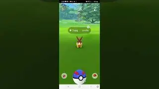 Shiny Pokemons Wild Encounter During Community Day December 2021