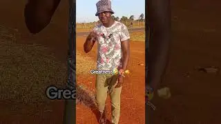 PLAYLIST YA GHETTO BOY🤣🤣🤣 #comedy 🤣🤣🤣🤣🤣