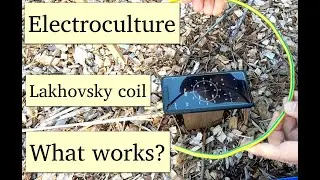 Electroculture - Lakhovsky Coil - Effects of wire selection orientation