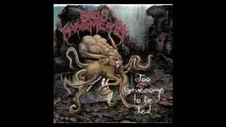 Bone Fragments - The Wandering Goblin