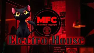 COPYRIGHT FREE Electro House / LiQWYD & Le Gang - Things