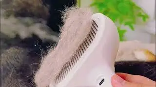 Pet Grooming Brush 2025 10 23 05 8