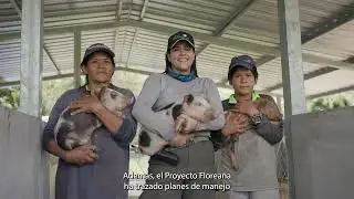 Proyecto de Restauración Ecológica - Floreana Vuelve a Florecer