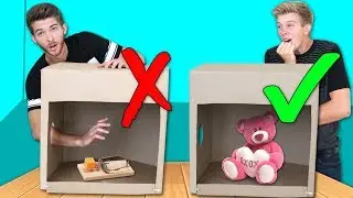 What's inside the Mystery Box? (PAINFUL EDITION)