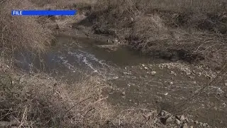 Upcoming town hall meeting to discuss RECA for Missouri residents