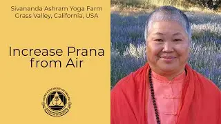 Increase 🌷Prana from 🌬️Air