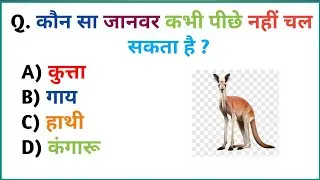 GK Question  ll GK In Hindi ll GK Question and Answer ll GK Quiz ll  ll सामान्य ज्ञान प्रश्नोत्तर ll