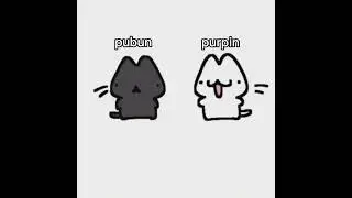 m&egrave;o m&aacute;o m&egrave;o m&aacute;o#purpin #ponytown #purpinxpubun