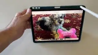 Soke iPad Case Pro 11in 2020 with Pencil Holder Review, The best iPad Pro case so far