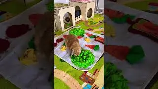 Road Rage Bunny Rabbit Zoomies #shorts