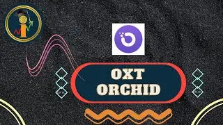 Oxt Orchid Coin Update