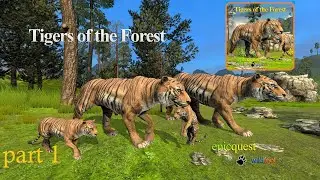 Wild foot - Tigers of the forest