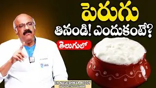 పెరుగులో మంచి బ్యాక్టీరియా! Dr Nageshwar Reddy About Curd Health Benifits || Sumantv Women Health