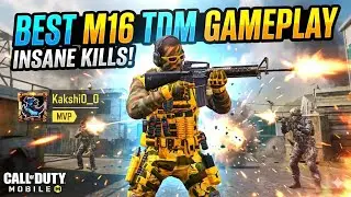 Best M16 TDM Gameplay In Call Of Duty Mobile #4kstatus 