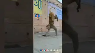 VFX Shakti comedy video
