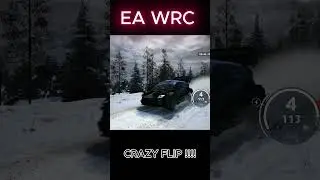 EA WRC RALLY | FLIPPP #eawrc #rallygame #gamingvideos