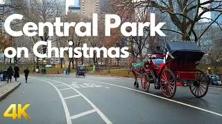 Walking Central Park on Christmas Day