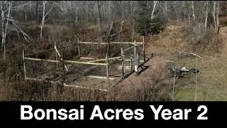 Bonsai Acres Year Two