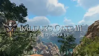 BALDUR'S GATE III - Sword Coast | Relaxing Music Atmosphere
