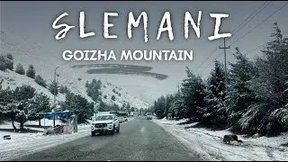 SLEMANI SNOWFALL 2026 - GOIZHA MOUNTAIN - KURDISTAN - 4K | بەفری سلێمانی