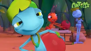 🐜🔮 Mystery Ant Powers! + More | Antiks | Animal Cartoons for Kids | Fun Adventure #Shorts