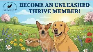 Unleashed Thrive Membership!