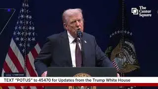 DHS launches ICE 'Midway Blitz' in Chicago as Trump calls out cashless bail