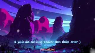 Thadar Nan Htike - 2 Youk Ma Shi Buu(cover) ( RADIUM REMIX )
