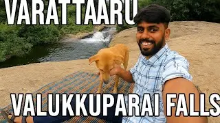 Theni District's Best Kept Waterfall Secret | Varattaru Valukkuparai