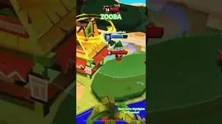 Zooba highlights