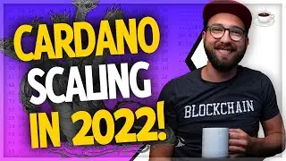 Cardano scaling solutions are closer than you think... (Cardano Basho Era) | Crypto News