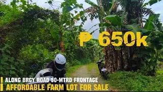 (Vlog#130) Affordable farm lot for only 650k!!!  For inquiry Viber/WhatsApp #09480928998 
