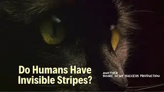 Humans Have Invisible Stripes?