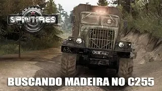 SPINTIRES - Viajando em TERRENO EXTREMO com o C255