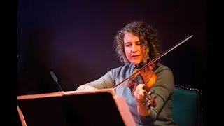 Wayne Horvitz 'United 3' | Live At The Royal Room