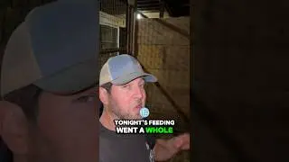 Feeding Time, Bourbon, and Zero Escapes (Progress, Baby)