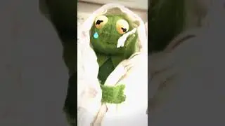 Kermit Sad Edit #edit #edits #kermit #kermitthefrog