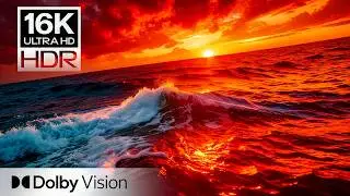 ULTIMATE OLED TEST | 16K HDR Premium Visual Experience | Dolby Vision 240FPS (8K/4K TV)