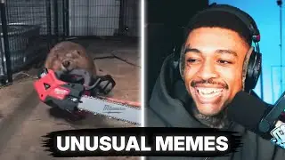 SCARLXRD CAN'T HOLD BACK HIS LAUGHTER AT THESE UNUSUAL MEMES