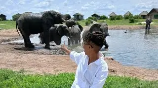 Up Close with Giants: Our Unforgettable Elephants 🐘 Encounter at Elephant Sands! | Botswana Safari