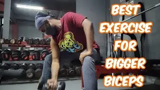 How to do bicep curl for bigger biceps | how to get bigger biceps | 