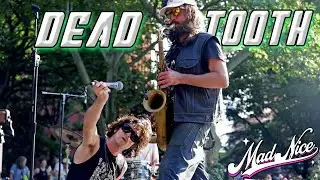 Dead Tooth - Live at Washington Square Park [FULL SET] - September 14, 2024 | (MadNiceTV)