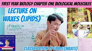 Waxes || Lipids biological molecules first year biology chapter one|| waxes